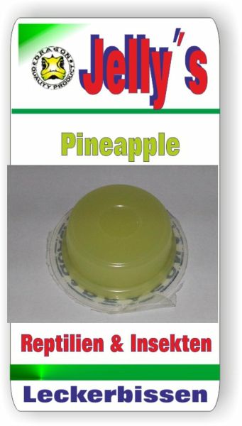 Jelly Food Dragon 4x16gr Fruchtgelee Pineapple für Reptilien Käfer Insekten