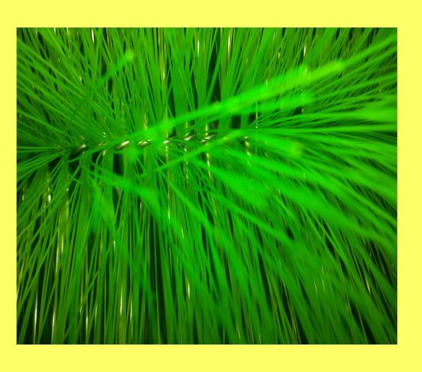 15 Stück Filterbürste grün fein 80 cm lang Teichbürste Koiteich Teichfilter