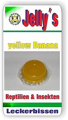 Jelly Food Dragon 20x16gr Fruchtgelee Banane für Reptilien Käfer Insekten Vögel