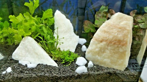 Nano Aquarium mit Filter LED Aquariumkies Pflanzen Wurzeln Deko ganz nach Wunsch
