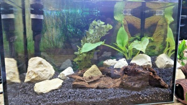 Nano Aquarium m Filter LED Kies Pflanzen Steine Wurzeln Deko, nach Ihrem Wunsch