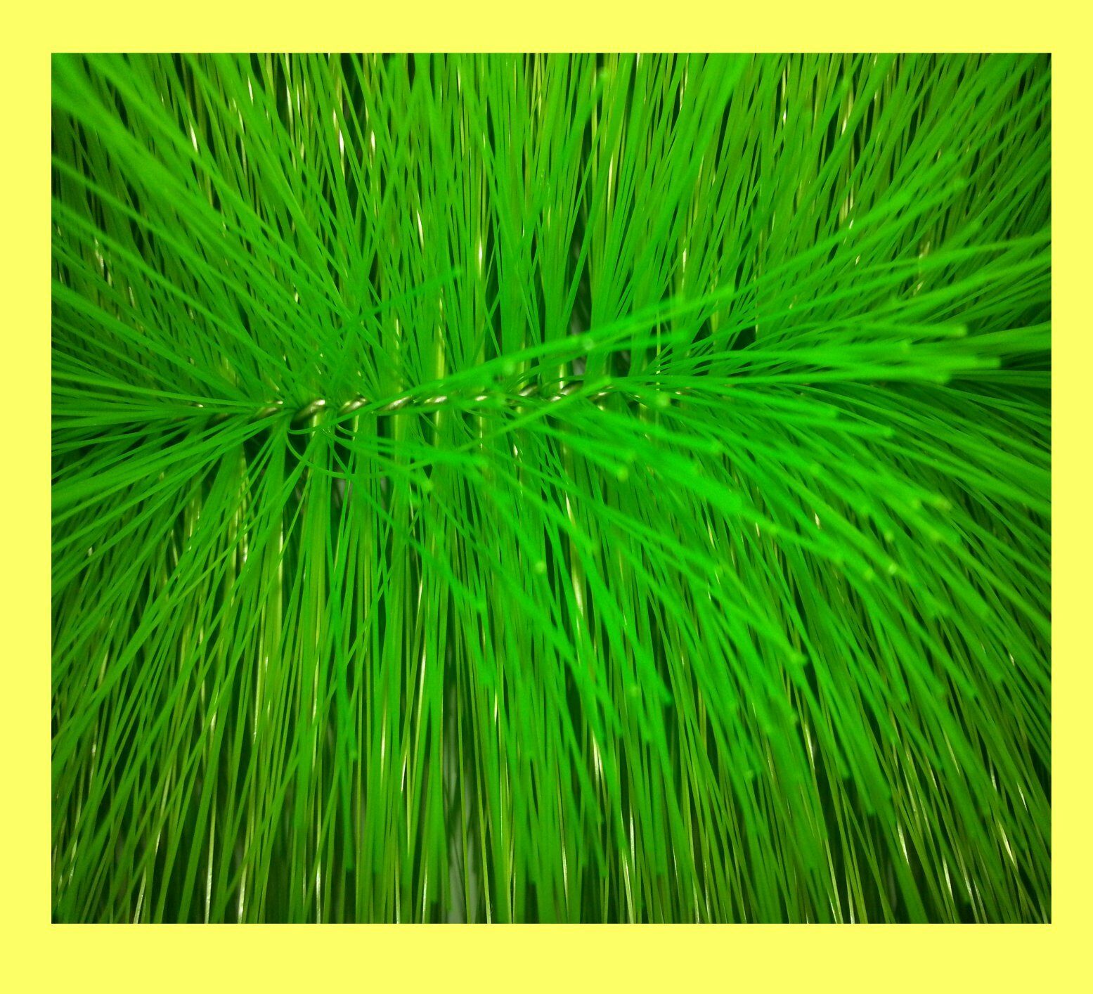 10 Stück Filterbürste grün fein 40 cm lang Teichbürste Koiteich Teichfilter f 