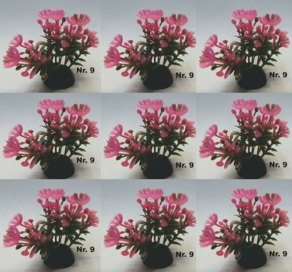 Aquarium Wasserpflanze 9 Stück N9 Kunststoff Aquarienpflanze Nano ca 4-5cm Nano